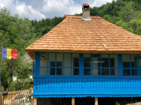 Casa Albastră